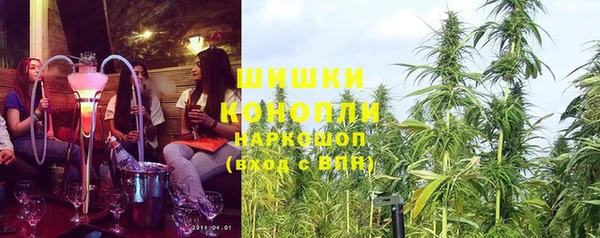 шишки Нефтекумск