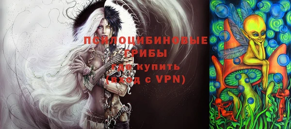 шишки Нефтекумск