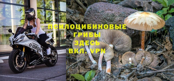 шишки Нефтекумск